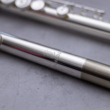 Load image into Gallery viewer, Haynes Amadeus 580SE
