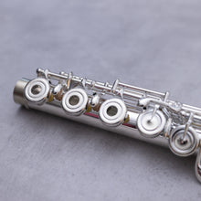 Load image into Gallery viewer, Haynes Amadeus 580SE
