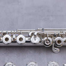 Lataa kuva Galleria-katseluun, Muramatsu SR RBEOC#
