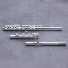 Load image into Gallery viewer, Di Zhao 401
