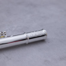 Load image into Gallery viewer, Di Zhao 401
