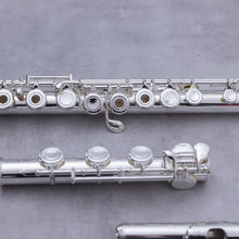 Load image into Gallery viewer, Di Zhao 401
