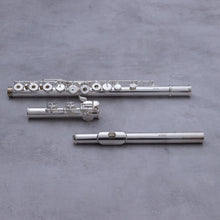 Load image into Gallery viewer, North Bridge 500
