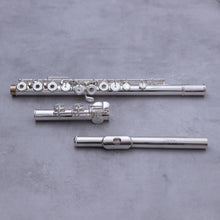 Load image into Gallery viewer, Tomasi TFL-09L-SI 
