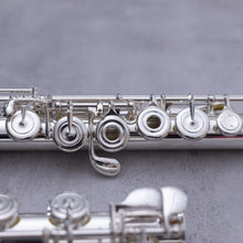 Load image into Gallery viewer, Tomasi TFL-09L-SI 
