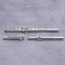 Load image into Gallery viewer, Haynes Amadeus 680SE
