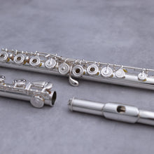 Load image into Gallery viewer, Haynes Amadeus 680SE
