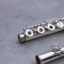 Load image into Gallery viewer, Haynes Amadeus 680SE
