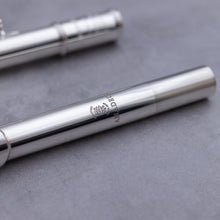 Load image into Gallery viewer, Haynes Amadeus 680SE
