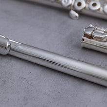 Load image into Gallery viewer, Muramatsu EX III RBEO
