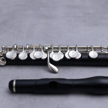 Lataa kuva Galleria-katseluun, August Richard Hammig Piccolo 40114/3/Str HKVR
