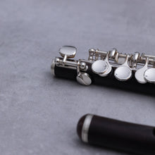 Lataa kuva Galleria-katseluun, Philipp Hammig 650/3/Str HKR Palisander
