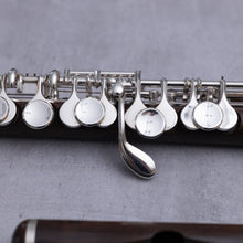 Lataa kuva Galleria-katseluun, Philipp Hammig 651/3/Str HKR Cocus
