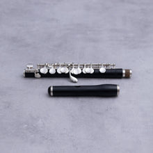 Lataa kuva Galleria-katseluun, Philipp Hammig 650/2/Str HKR Grenadilla
