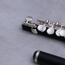 Lataa kuva Galleria-katseluun, Philipp Hammig 650/2/Str HKR Grenadilla
