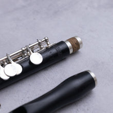 Lataa kuva Galleria-katseluun, Johannes Gerhard Hammig Piccolo 750/2/Str HKR
