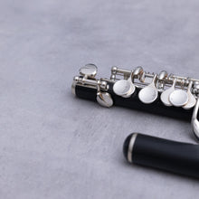 Lataa kuva Galleria-katseluun, Johannes Gerhard Hammig Piccolo 750/2/Str HKR
