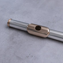 Load image into Gallery viewer, Käytetty JR Lafin suukappale
