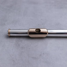 Load image into Gallery viewer, Käytetty JR Lafin suukappale
