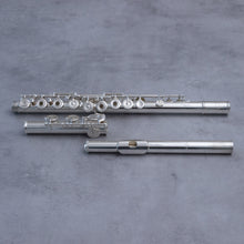 Lataa kuva Galleria-katseluun, Käytetty Pearl Elegante PF-795 RCEO #12533

