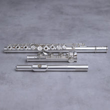 Load image into Gallery viewer, Brannen-Cooper Original Brögger Flute DT RBEO (Heavy Wall)
