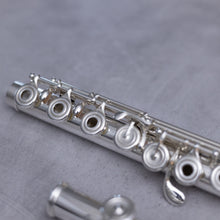 Load image into Gallery viewer, Brannen-Cooper Original Brögger Flute DT RBEO (Heavy Wall)
