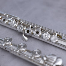 Load image into Gallery viewer, Brannen-Cooper Original Brögger Flute DT RBEO (Heavy Wall)
