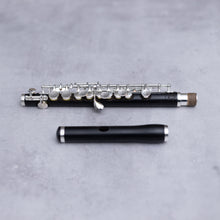 Lataa kuva Galleria-katseluun, Di Zhao 201 Piccolo
