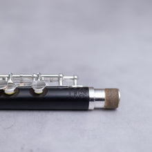 Lataa kuva Galleria-katseluun, Di Zhao 201 Piccolo
