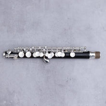 Lataa kuva Galleria-katseluun, Di Zhao 201 Piccolo
