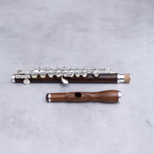 Lataa kuva Galleria-katseluun, Di Zhao 301 Piccolo
