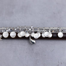 Lataa kuva Galleria-katseluun, Di Zhao 301 Piccolo
