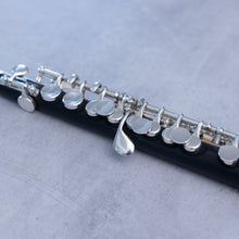 Load image into Gallery viewer, Pre-owned Burkart Professional Piccolo #6382
