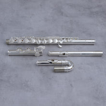 Load image into Gallery viewer, Di Zhao 100S Alto Flute
