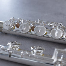 Load image into Gallery viewer, Di Zhao 100S Alto Flute
