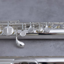 Load image into Gallery viewer, Di Zhao 100S Alto Flute
