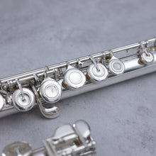 Lataa kuva Galleria-katseluun, Käytetty Muramatsu AD CCEO #27736
