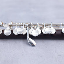 Load image into Gallery viewer, Pre-owned Philipp Hammig 650/3 Rosewood Piccolo #26707
