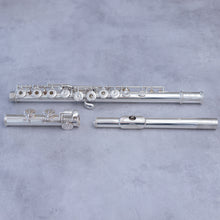 Lataa kuva Galleria-katseluun, Käytetty Trevor James Performers Series RCEO + Mike J Allen suukappale #P59239
