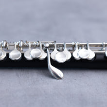 Load image into Gallery viewer, Pre-owned Philipp Hammig grenadilla piccolo 650/3 #39567
