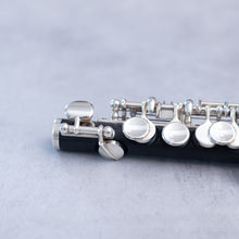 Load image into Gallery viewer, Pre-owned Philipp Hammig grenadilla piccolo 650/3 #39567
