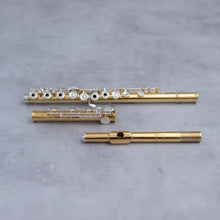 Load image into Gallery viewer, Pre-owned Di Zhao Schille 18K plated silver flute RBEO
