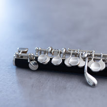 Load image into Gallery viewer, Pre-owned August Richard Hammig 40114/3 Grenadilla Piccolo - Body #7245
