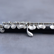 Load image into Gallery viewer, Pre-owned August Richard Hammig 40114/3 Grenadilla Piccolo - Body #7245
