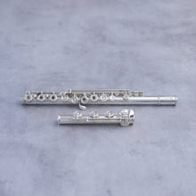 Load image into Gallery viewer, Pre-owned Brannen DT RBOC# body #8374
