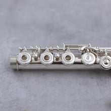 Load image into Gallery viewer, Pre-owned Haynes Q2 RCEO 14K riser #6507
