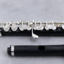 Load image into Gallery viewer, Haynes Q Grenadilla Piccolo Wave
