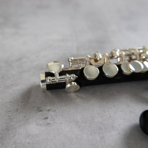 Haynes Amadeus AP86 Piccolo