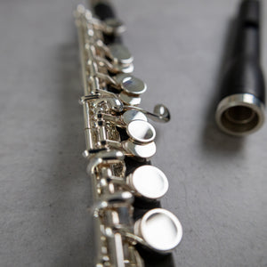 Haynes Amadeus AP86 Piccolo