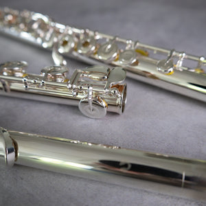 Muramatsu EX III RCEO
